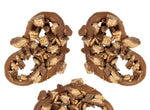 Load image into Gallery viewer, Gourmet Topped Pretzels
